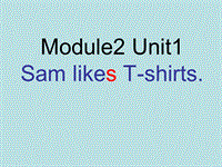 外研版一起英语二年级上Module 4《Unit 1 Sam like T-shirts》课件3