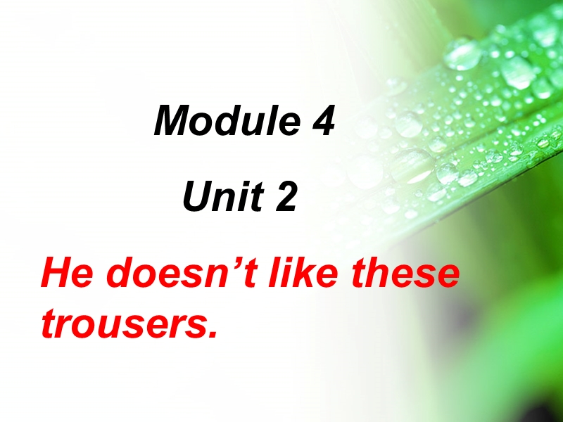 外研版一起英语二年级上Module 4《Unit 2 He doesn’t like ...》课件1_第1页