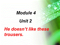 外研版一起英语二年级上Module 4《Unit 2 He doesn’t like ...》课件1