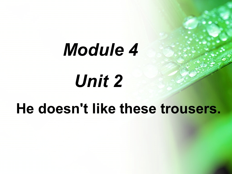 外研版一起英语二年级上Module 4《Unit 2 He doesn’t like ...》课件4_第1页