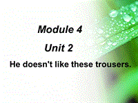 外研版一起英语二年级上Module 4《Unit 2 He doesn’t like ...》课件4