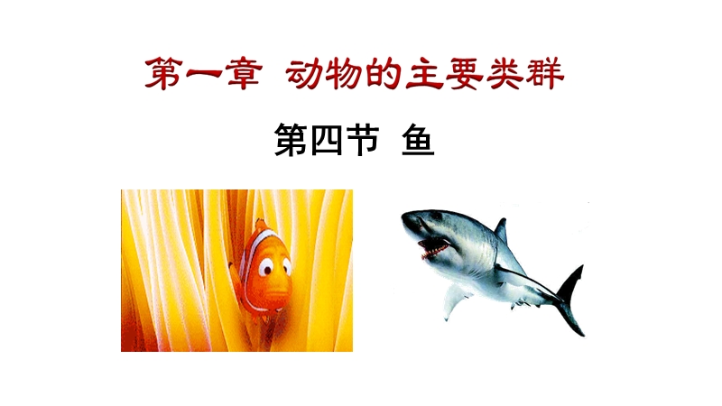 人教版生物八年级上册《5.1.4鱼》精品课件_第1页