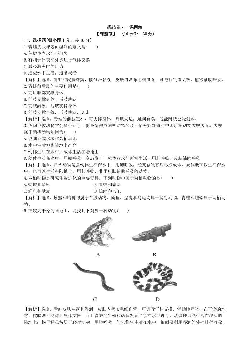 人教版生物八年级上册《5.1.5两栖动物和爬行动物》课时检测卷（含答案解析）_第1页