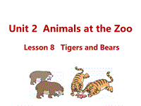 （三起）冀教版三年级英语下册Unit2 Lesson8 Tigers and Bears课件