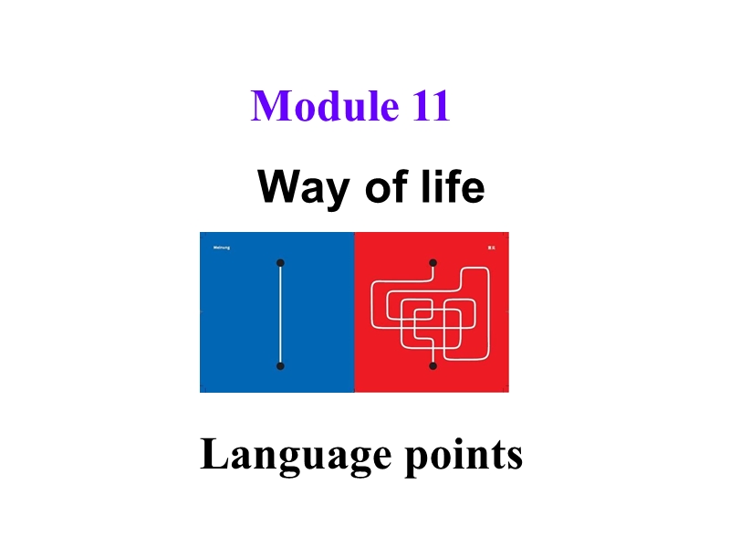 外研版英语八年级上Module11-language points课件_第1页