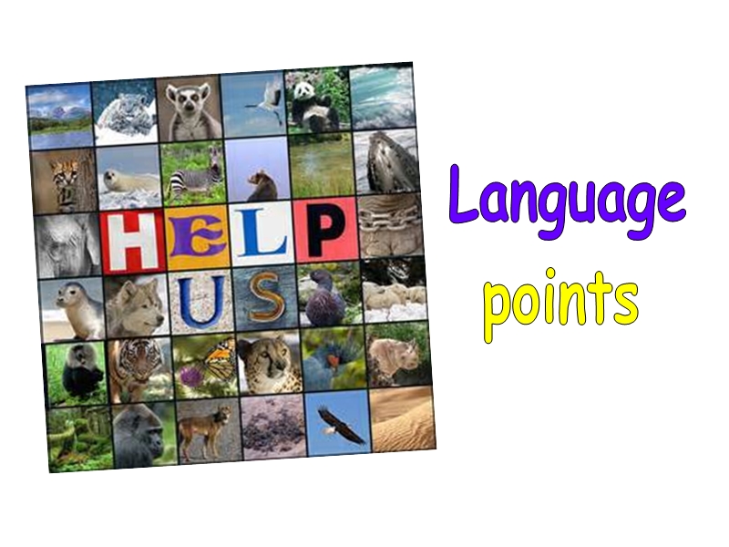 外研版英语八年级上Module6-Language points课件_第2页
