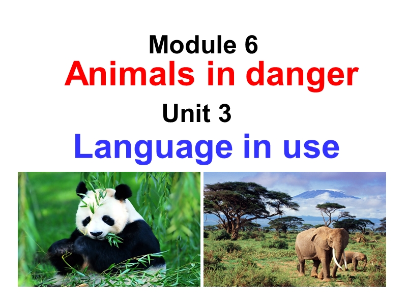 外研版英语八年级上Module6 Unit3-Language in use课件_第1页