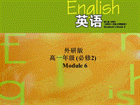 外研版高中英语必修二《Module6 Language points》课件
