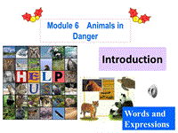 外研版高二英语必修5《Module6 Introduction》课件