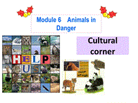 外研版高二英语必修5《Module6 Culturral cornery》课件