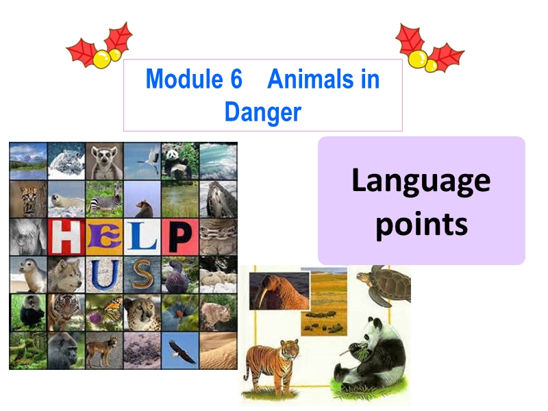 外研版高二英语必修5《Module6 Language Points》课件_第1页
