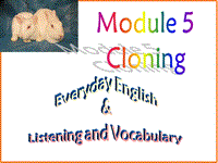 外研版高中英语选修6 Module5 Everyday English & Listening and Vocabulary课件