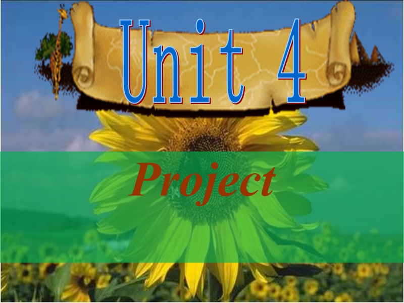 牛津译林版选修11《Unit4 the next step Project》课件（共21张PPT）_第2页