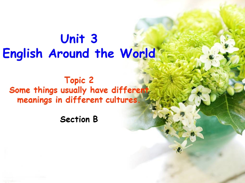仁爱版九年级英语上册Unit 3 Topic 2 Section B课件_第1页