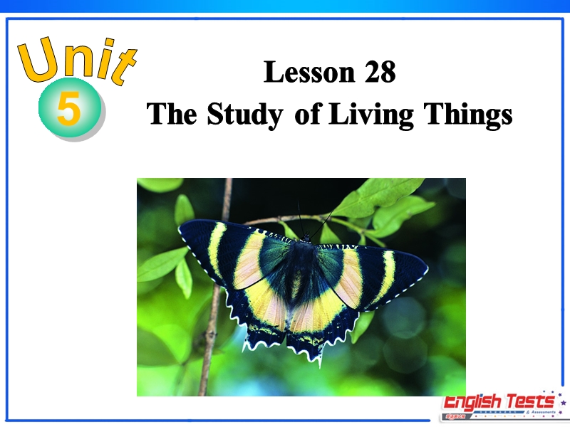 冀教版英语九年级上Lesson 28 The Study of Living Things精品课件_第2页