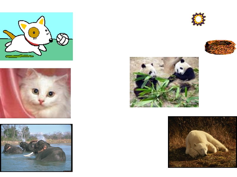 外研版（三起）英语六年级上Module 7 Unit 2 Pandas love bamboo.课件_第3页