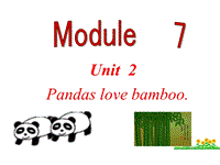 外研版（三起）英语六年级上Module 7 Unit 2 Pandas love bamboo.课件