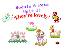 【广州版】三年级下册英语：Module 6 Unit 11《They’re lovely》课件2