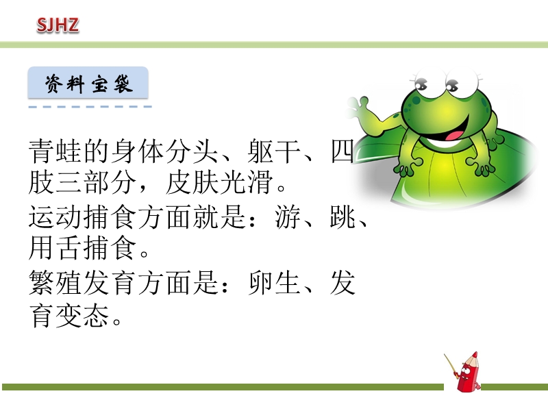 【人教部编版】语文一年级下册：识字3《小青蛙》课件_第3页