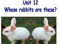 【广州版】三年级下册英语：Module 6 Unit 12《Whose rabbits are these》课件2