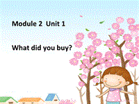（三起）外研版英语五年级上Module2 Unit1 What did you buy？课件1