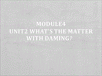 （三起）外研版英语五年级上Module4 Unit2 what's the matter with Daming？课件2