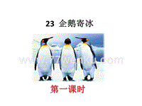 2018年秋【冀教版】语文二年级上：第23课《企鹅寄冰》课件
