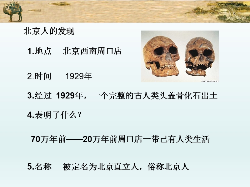 【川教版】七年级上册历史：第1课《震惊世界的考古发现》ppt课件（1）_第3页