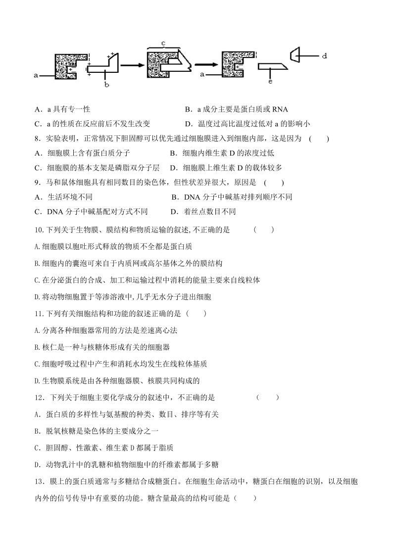 湖南省醴陵市2019届高三上学期第一次月考生物试卷（含答案）_第2页