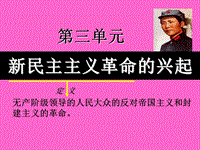 【华师大版】历史八年级上：第11课《五四运动和中国共产党的成立》ppt课件（2）