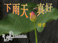 【北师大版】语文八年级上册：第11课《下雨天，真好》课件（2）
