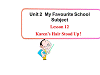 【冀教版】英语八年级上：Unit2《Lesson12 Karen’s Hair Stood Up》课件