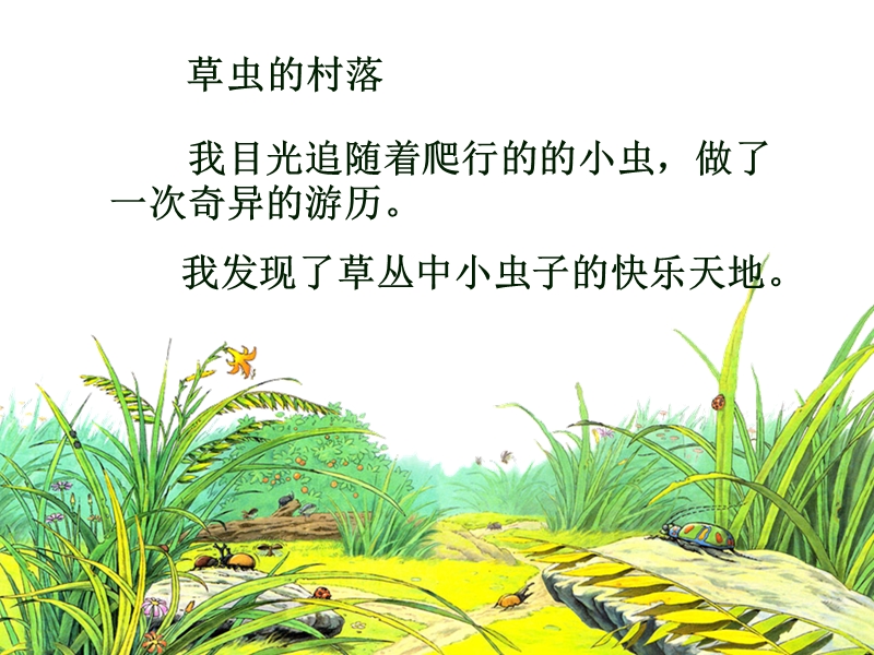 【人教版】六年级上册语文：第3课《草虫的村落》课件3_第2页