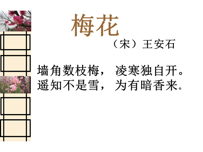 【北京版】语文一年级上册：《梅花》课件（37张）_第3页