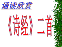 【北京课改版】语文七年级上：第9课《关雎、蒹葭》课件（4）