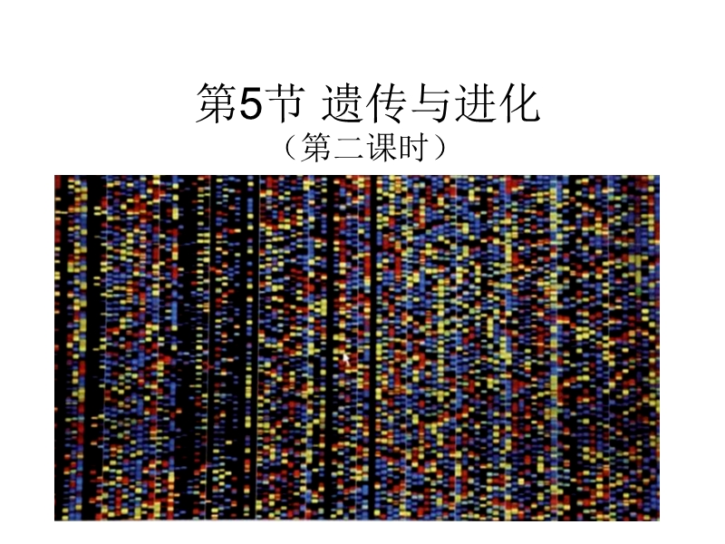 浙教版科学九年级下1.5《遗传与进化》课件（2）_第1页