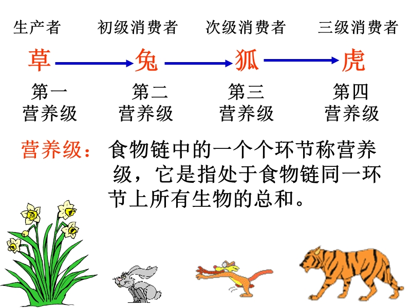 浙教版科学九年级下2.4《生态系统的结构和功能》课件（2）_第2页