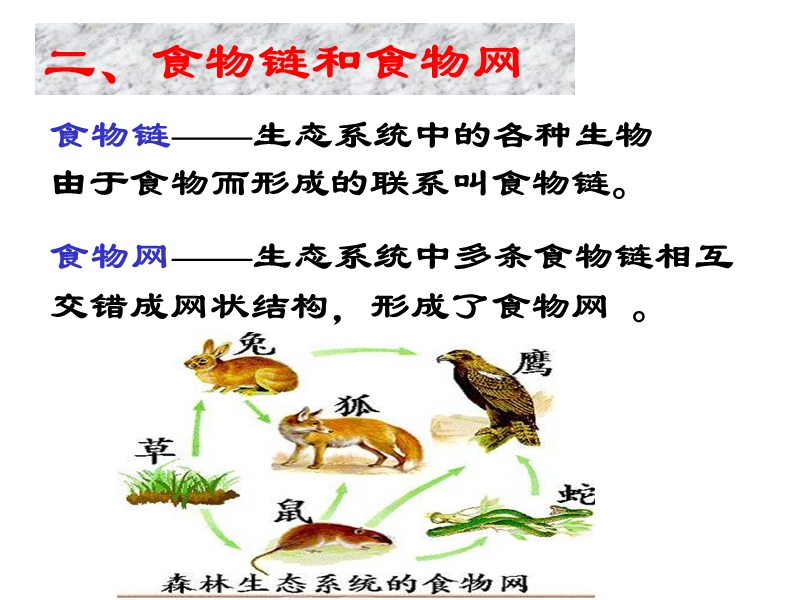 浙教版科学九年级下2.4《生态系统的结构和功能》课件（2）_第3页