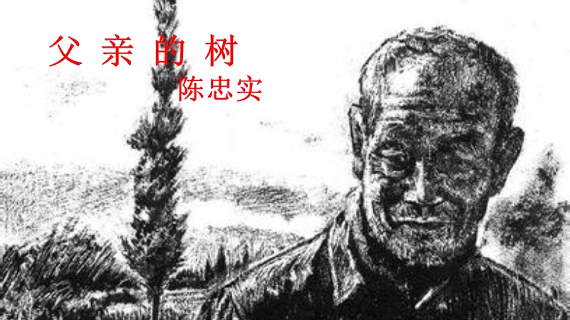 【北京课改版】语文七年级上：第13课《父亲的树》ppt课件（2）_第1页