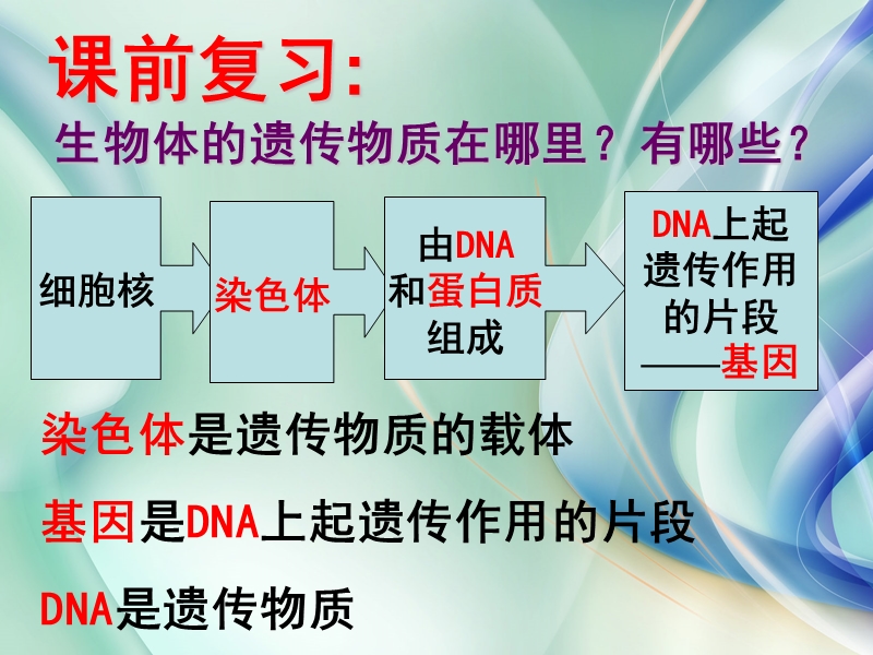 浙教版科学九年级下1.5《遗传与进化》（第2课时）课件_第2页