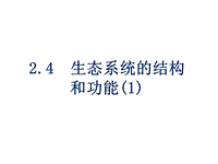 浙教版科学九年级下2.4《生态系统的结构和功能》课件（1）