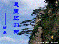【冀教版】语文七年级上册：第18课《悬崖边的树》课件（2）