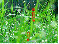 【人教部编版】语文七年级上册：第3课《雨的四季》精品教学课件