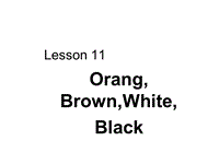 【冀教版】英语三年级上《Lesson 11 Orange, Brown, White, Black》课件（1）