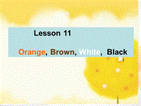 【冀教版】英语三年级上《Lesson 11 Orange, Brown, White, Black》课件（4）