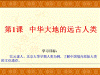 【北师大版】七年级上册历史：第1课《中华大地的远古人类》ppt课件（2）