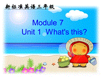 （三起）外研版英语三年级上Module7 Unit1 What's this？课件