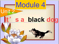 （三起）外研版英语三年级上Module4 Unit2-1课件