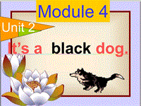 （三起）外研版英语三年级上Module4 Unit2-4课件