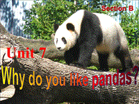 鲁教版六年级英语下册Unit 7 Why do you like pandas？Section B课件